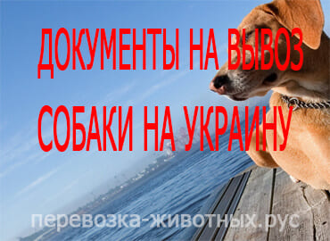 Документы на вывоз собаки на Украину