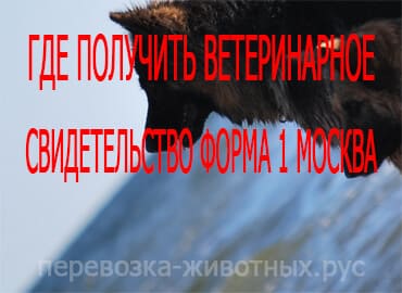 Где получить ветеринарное свидетельство форма 1 Москва