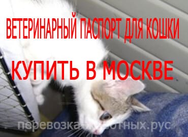 Ветеринарный паспорт для кошки купить в Москве